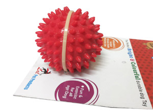 Dog Toy Flavoured Rubber Stud Ball for Every Day Play Medium