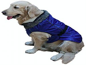 Imported Dog Jacket Blue L Puppy